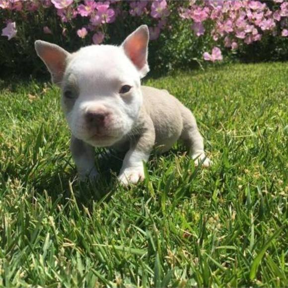 Meet your Posher, Jamar - Picture 1 of 1